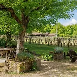 Chateau Vieux Mougnac St-emilion