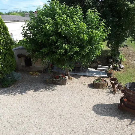 Chateau Vieux Mougnac St-emilion