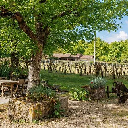Chateau Vieux Mougnac St-emilion