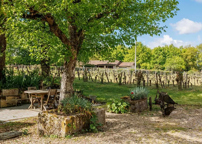 Chateau Vieux Mougnac St-emilion